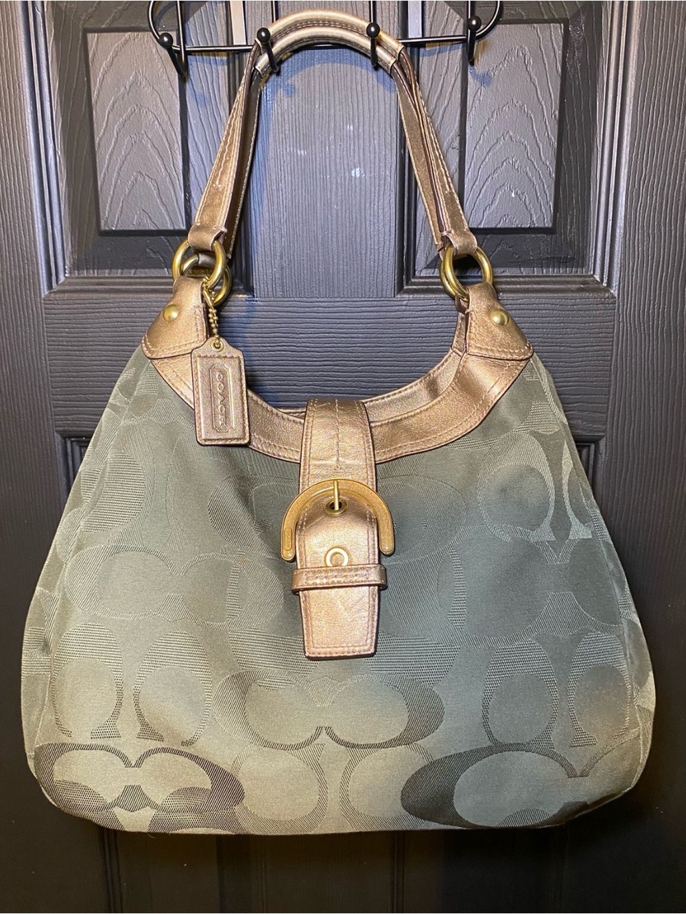 Coach Soho Lynn hobo Signature Canvas